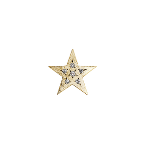 Saint Bridget Star