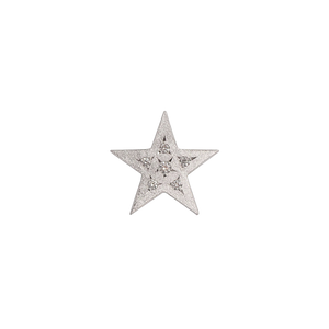 Saint Bridget Star